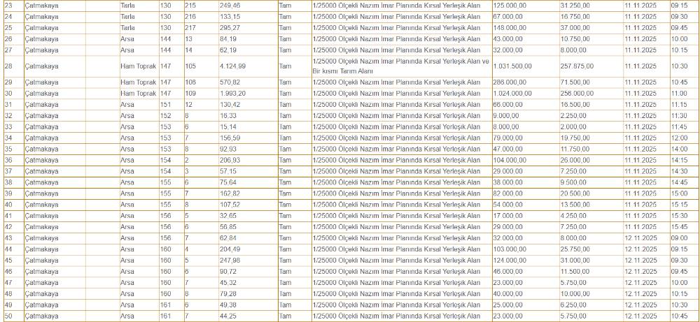 Konya'da hazine arazileri çok ucuza satılacak! Sadece 40 bin TL 12